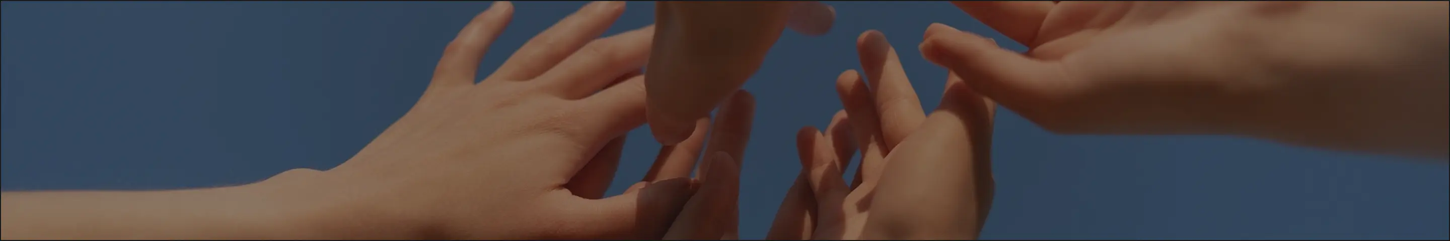 واحد داوطلبان